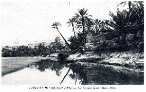 ALGERIE SAHARA 1923 A 29 EN RENAULT 6 ROUES (3)